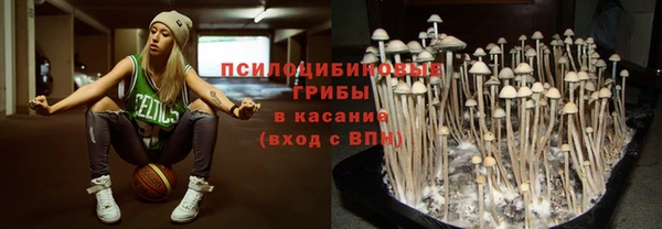 ГАЛЛЮЦИНОГЕННЫЕ ГРИБЫ Семилуки