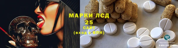 ГАЛЛЮЦИНОГЕННЫЕ ГРИБЫ Семилуки
