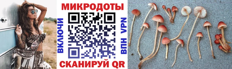 купить   Вышний Волочёк  Галлюциногенные грибы Magic Shrooms 